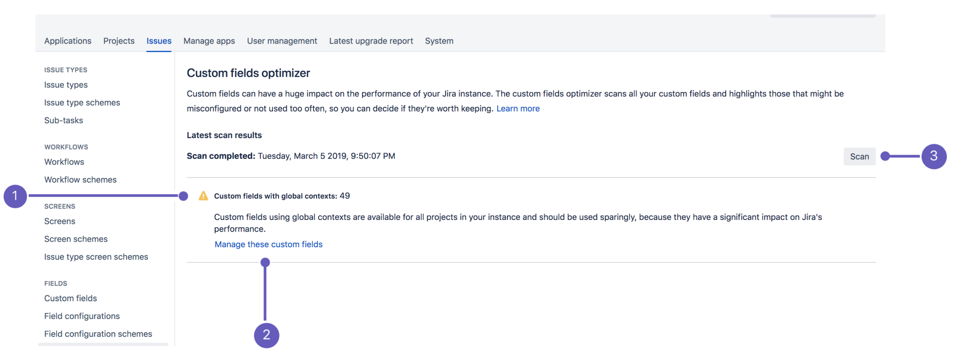 Custom fields optimizer, with annotations explained below the image.