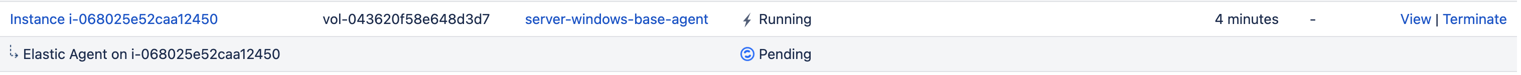 Elastic instance with agent pending