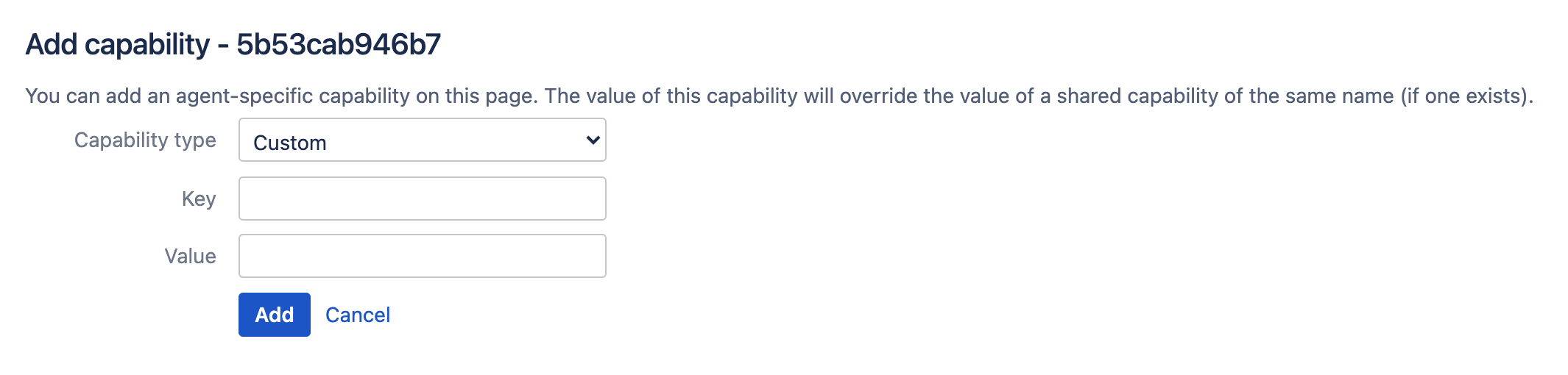 Agent-specific custom capability configuration