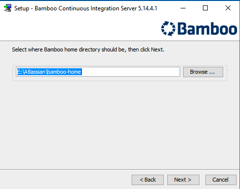 bamboo driver for windows 10