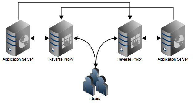 DirectReverseProxy