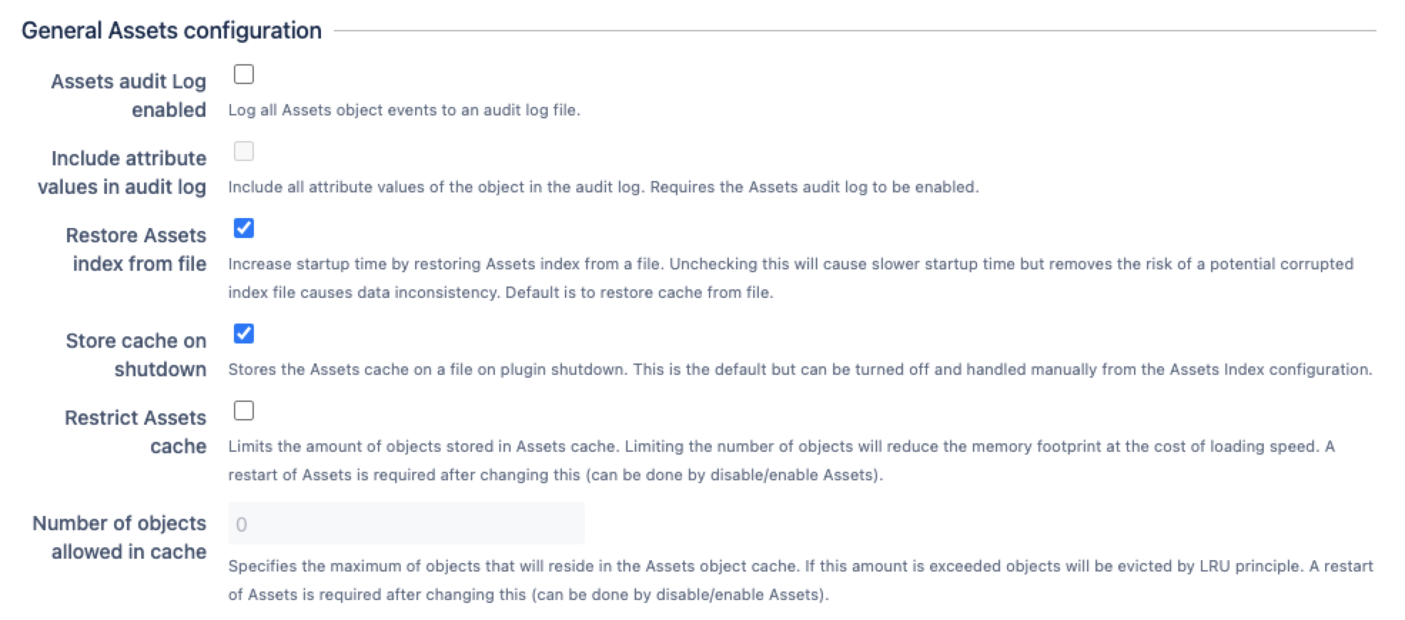 一般アセット設定セクション