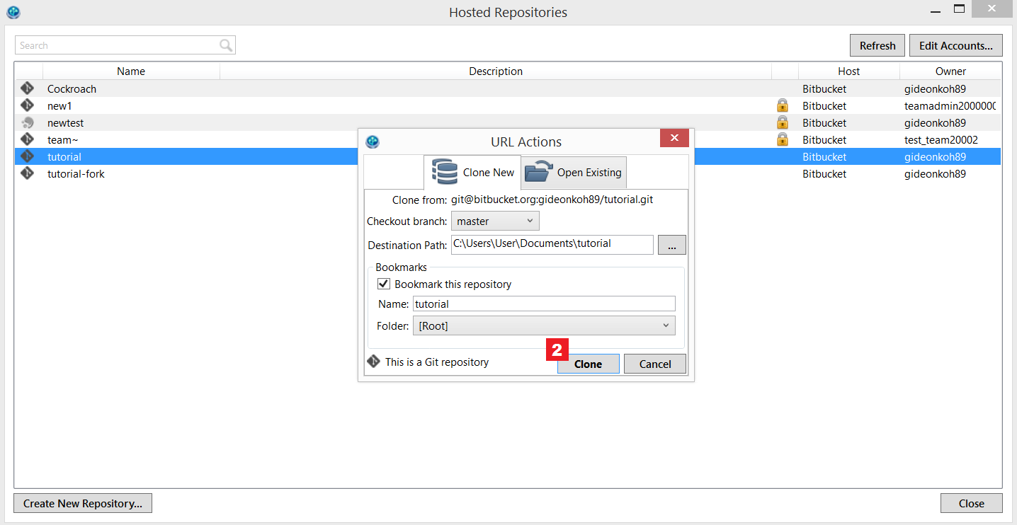 use sourcetree to manage a remote repo